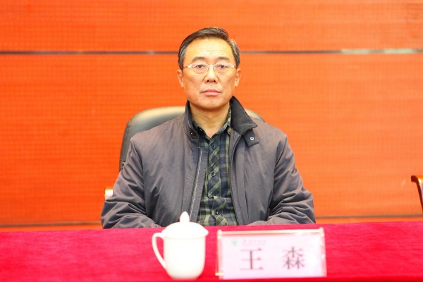 河南省委组织部王森图片
