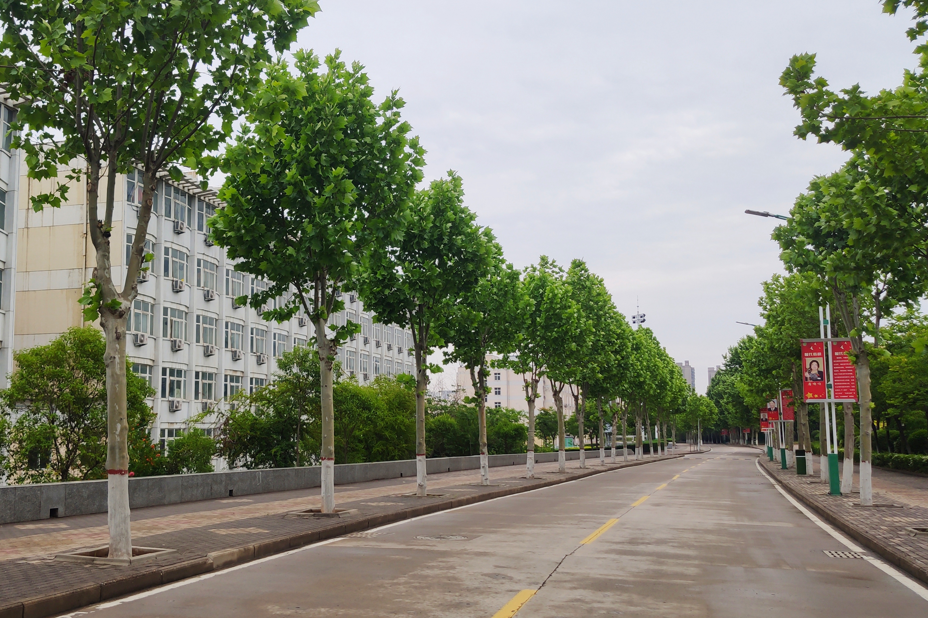 平顶山学院荣获"河南省文明校园"称号